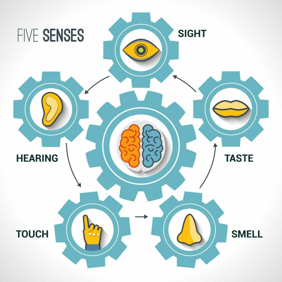 Les 5 clés d’un marketing sensoriel efficace